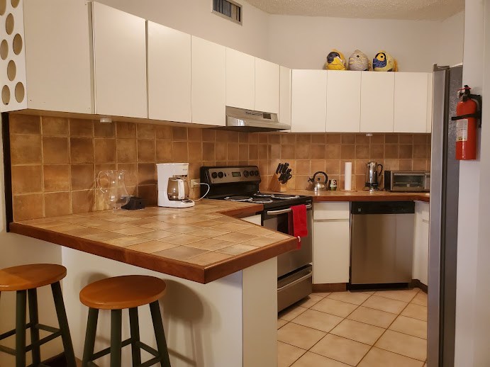 spacious kitchen. fully equipped with electrical appliances and dishes/pots/pans etc.